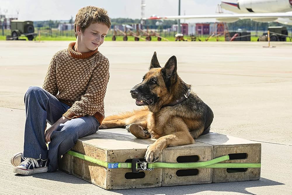 ハチとパルマの物語の画像