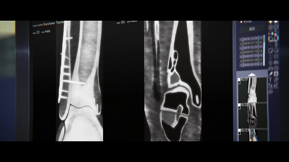 ジョゼと虎と魚たちの画像