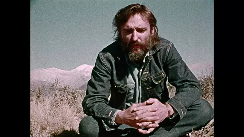 デニス・ホッパー／アメリカン・ドリーマーの画像