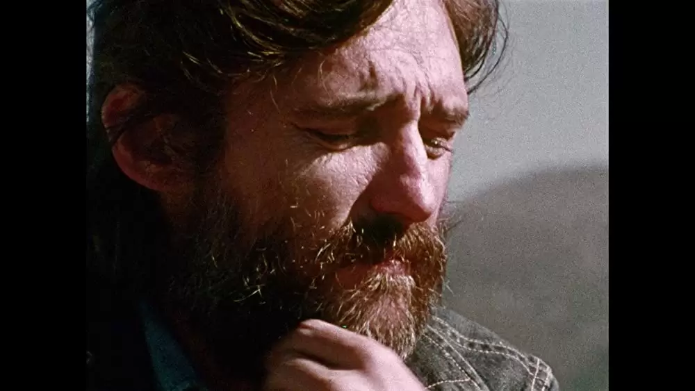 デニス・ホッパー／アメリカン・ドリーマーの画像