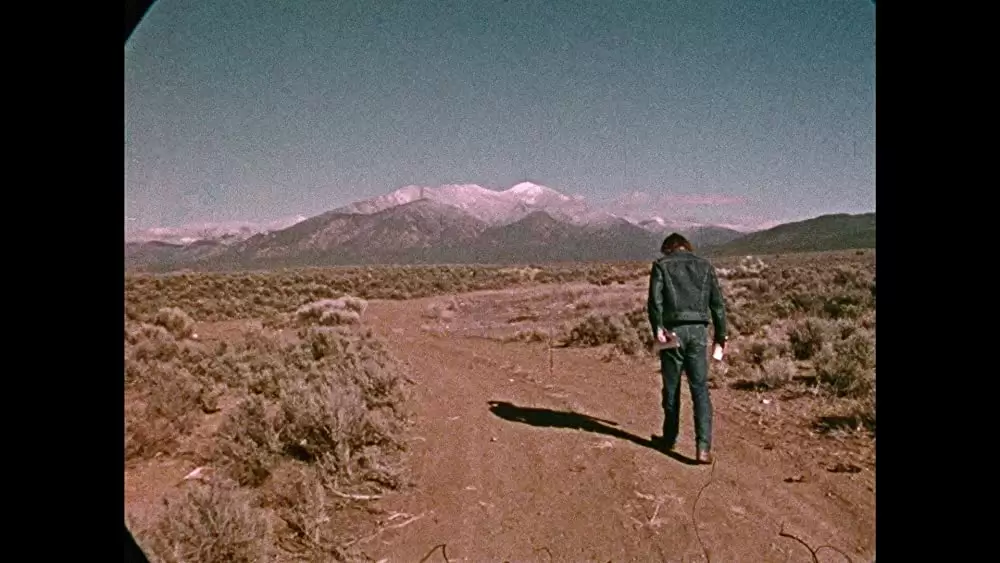 デニス・ホッパー／アメリカン・ドリーマーの画像