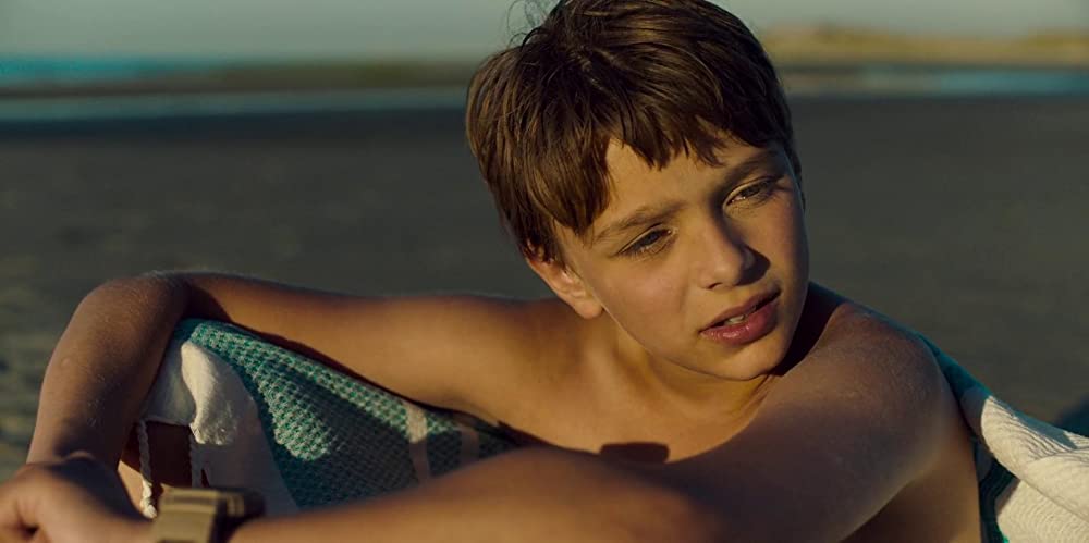 恐竜が教えてくれたことの画像