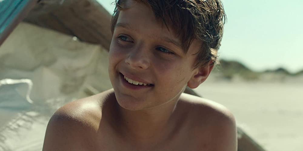 恐竜が教えてくれたことの画像