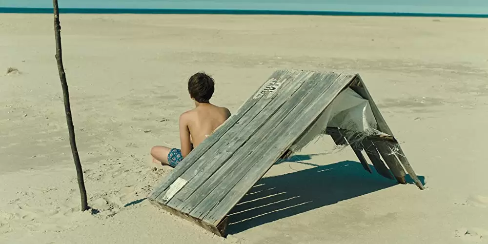 「恐竜が教えてくれたこと」ソンニ・ファンウッテレンの画像