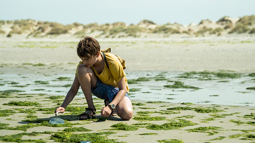 恐竜が教えてくれたことの画像