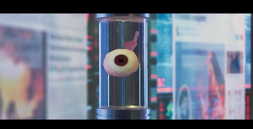 ザ・ルーキーズの画像