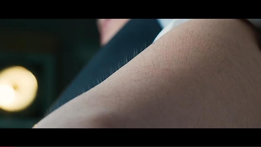 ザ・ルーキーズの画像