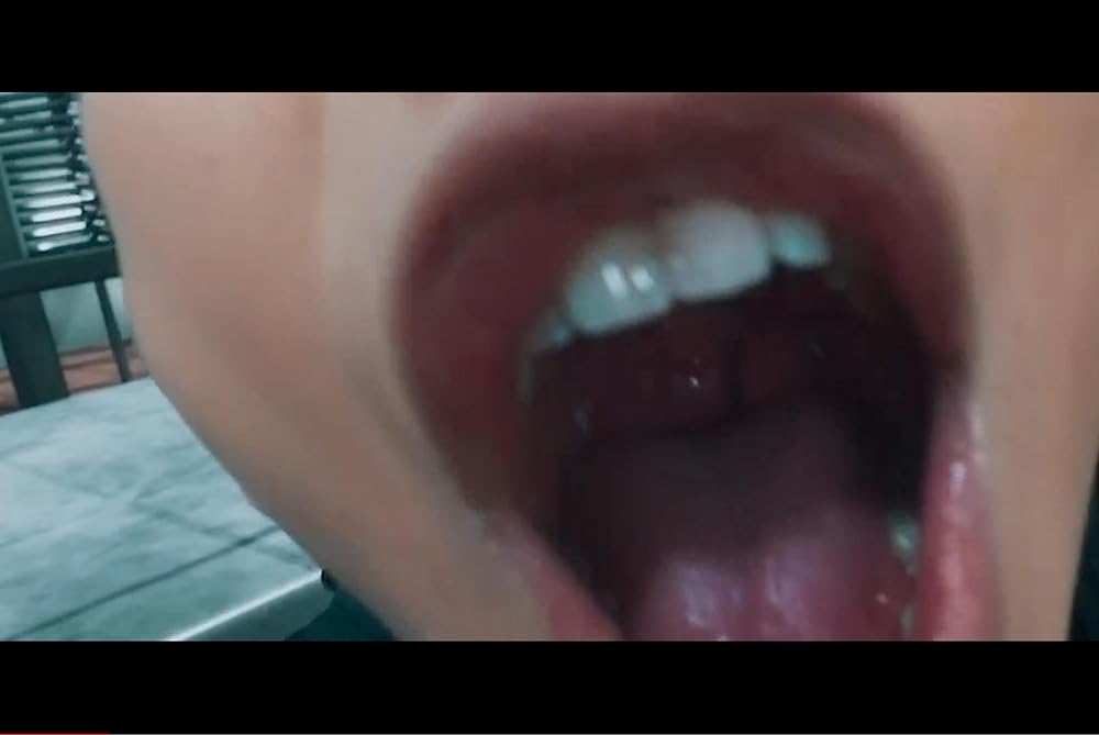 ザ・ルーキーズの画像