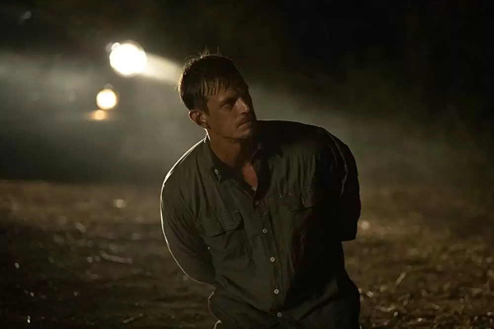 「マヤの秘密」ジョエル・キナマンの画像