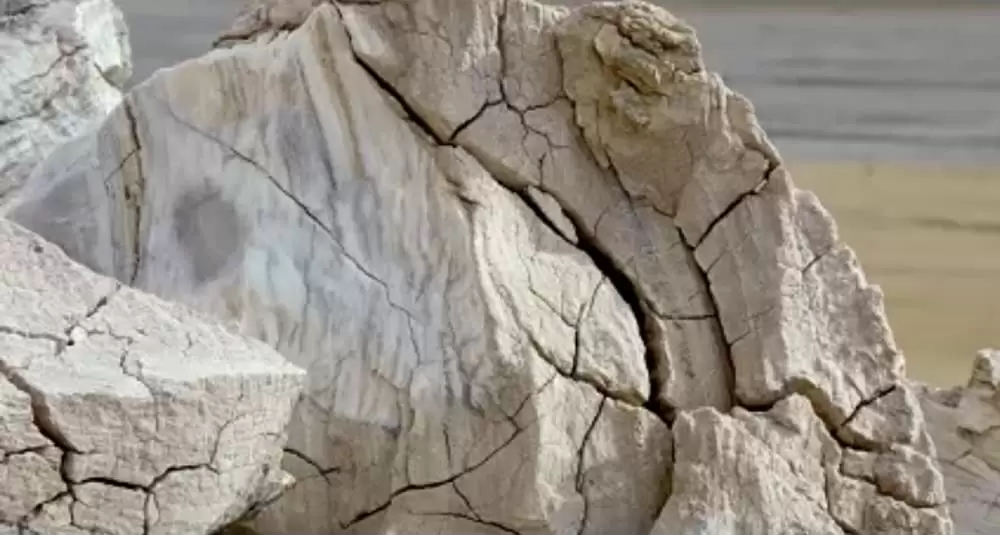 夢のアンデスの画像