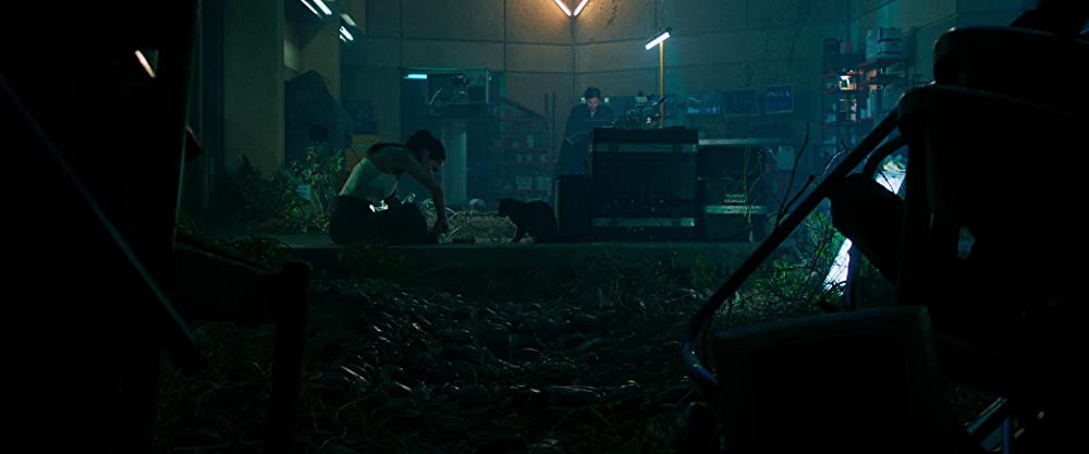 モービウスの画像