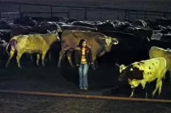 ファーストフード・ネイションの画像