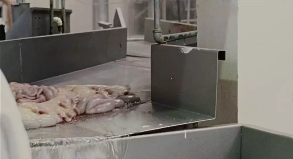 ファーストフード・ネイションの画像