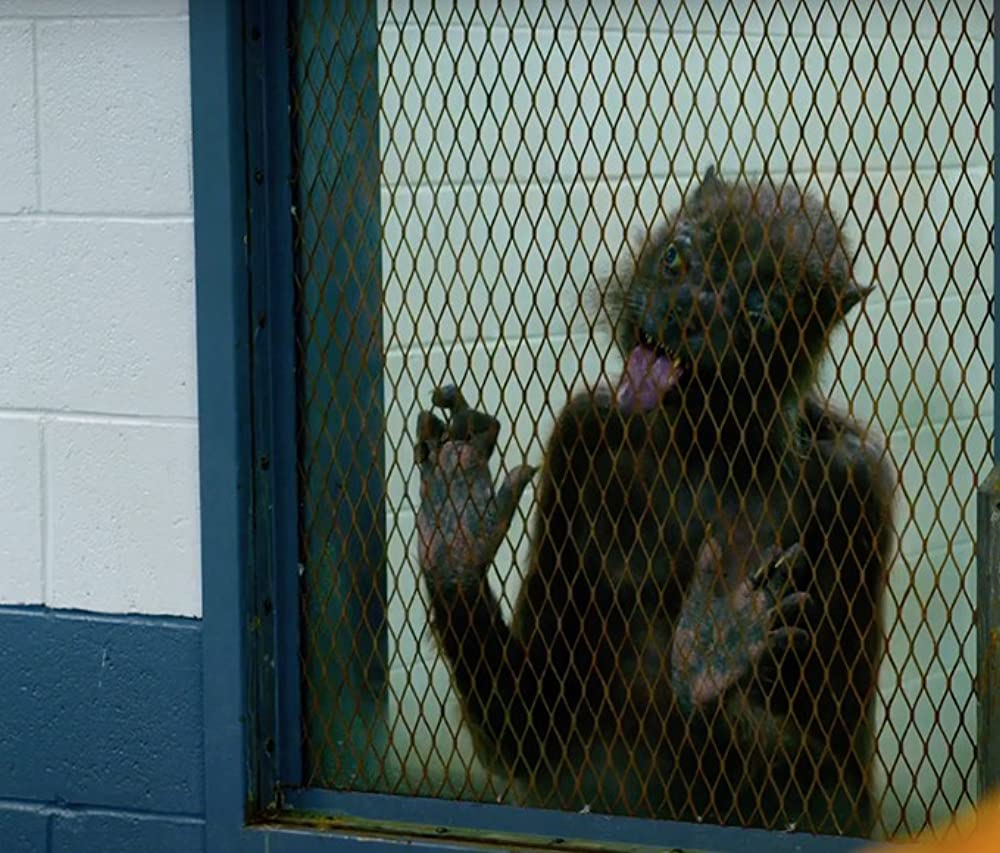 ザ・スーサイド・スクワッド 