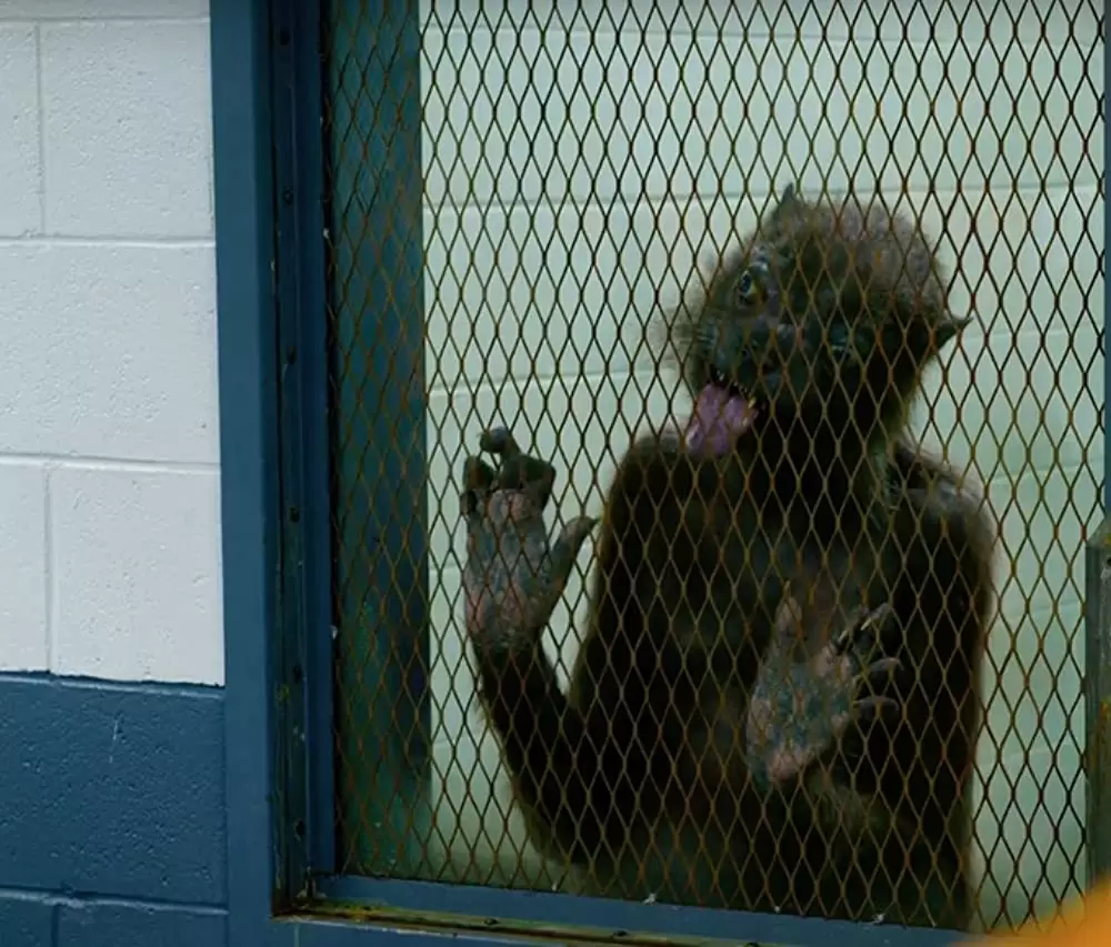 「ザ・スーサイド・スクワッド 