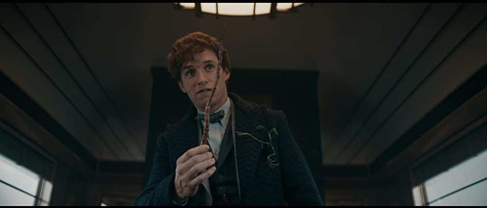 ファンタスティック・ビーストとダンブルドアの秘密の画像