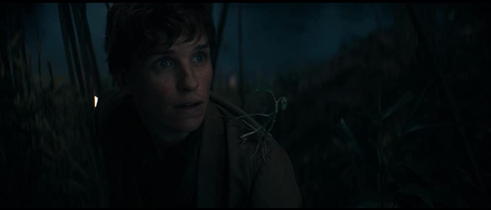 ファンタスティック・ビーストとダンブルドアの秘密の画像