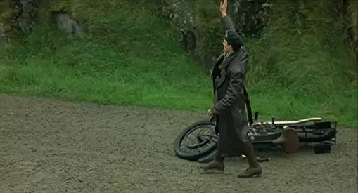 麦の穂をゆらす風の画像