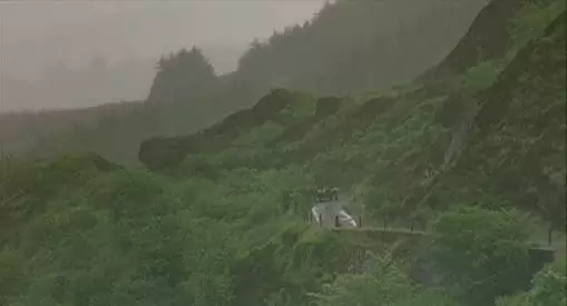 麦の穂をゆらす風の画像