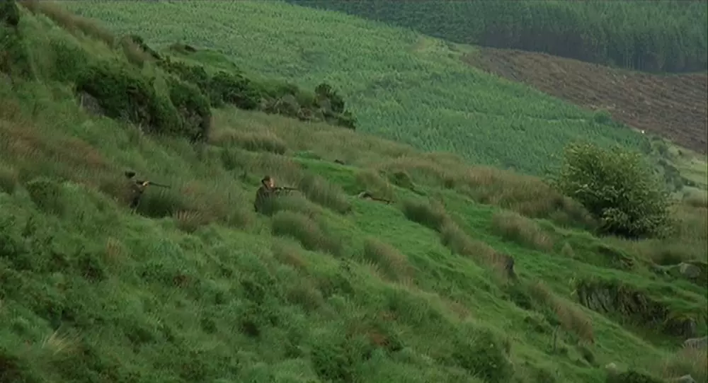 麦の穂をゆらす風の画像