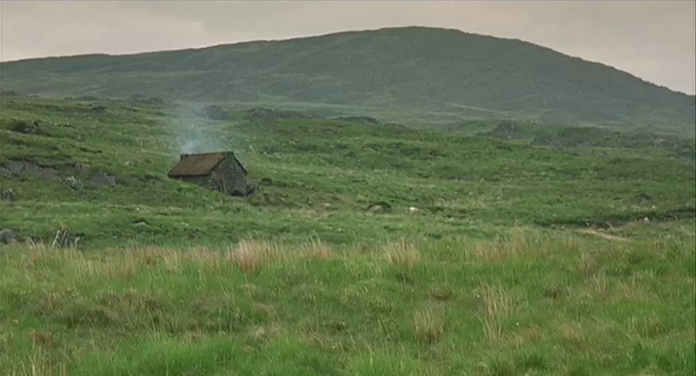 麦の穂をゆらす風の画像