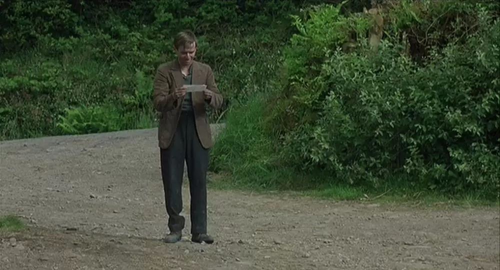 麦の穂をゆらす風の画像