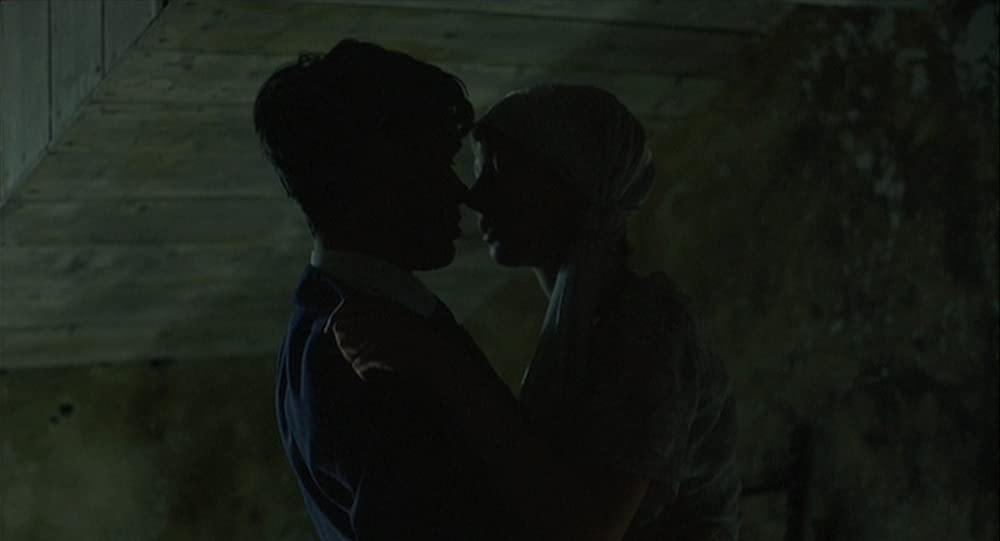 麦の穂をゆらす風の画像