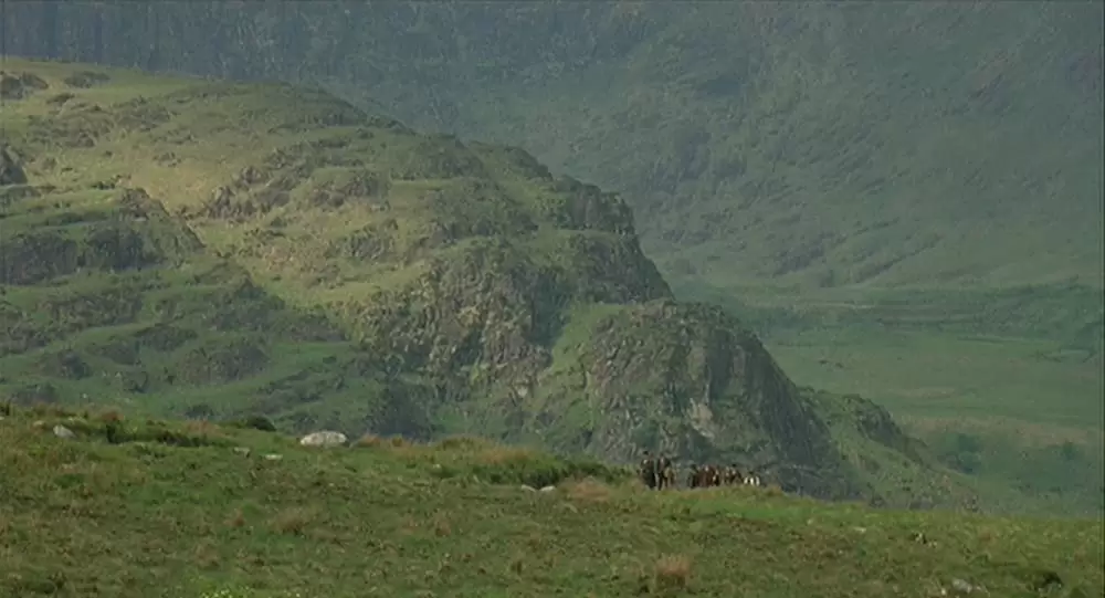 麦の穂をゆらす風の画像