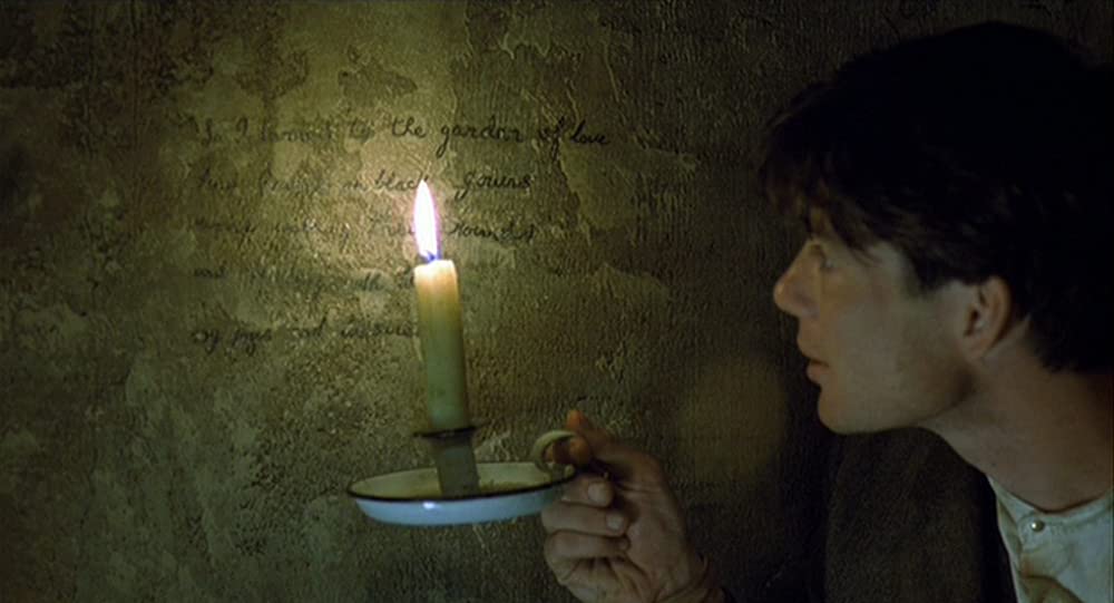 麦の穂をゆらす風の画像