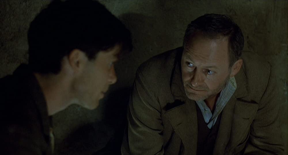 麦の穂をゆらす風の画像