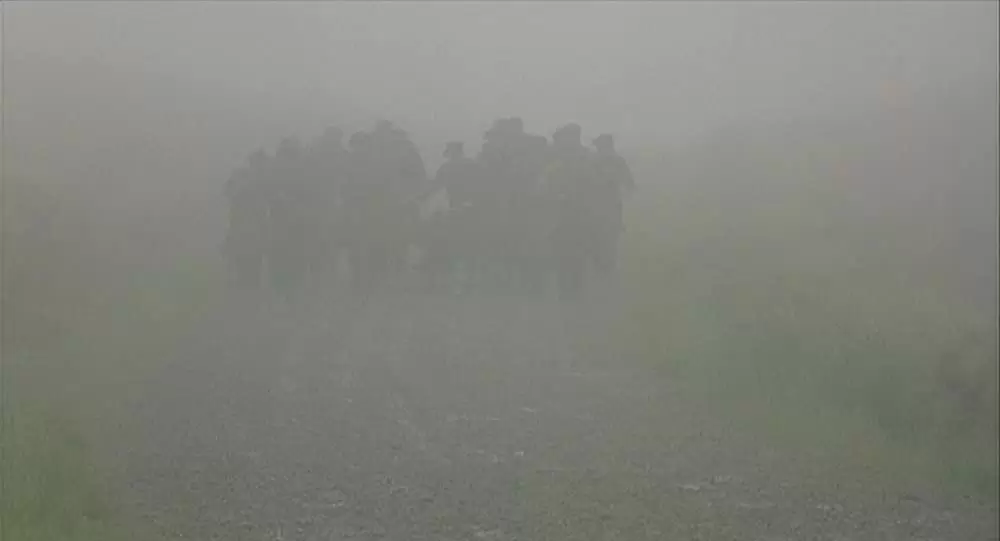 麦の穂をゆらす風の画像