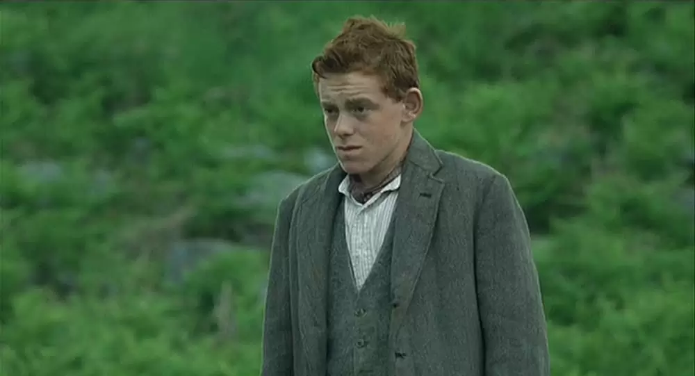 麦の穂をゆらす風の画像