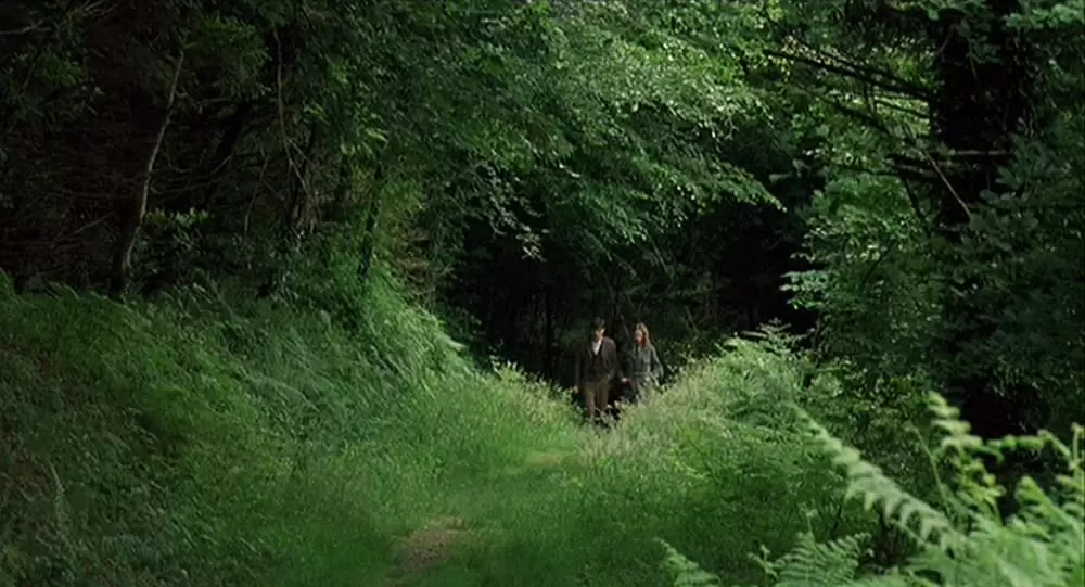 麦の穂をゆらす風の画像