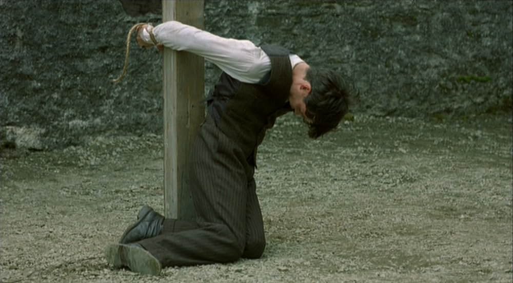 麦の穂をゆらす風の画像