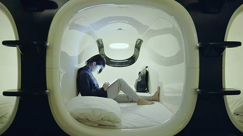 「SHELL and JOINT」の画像