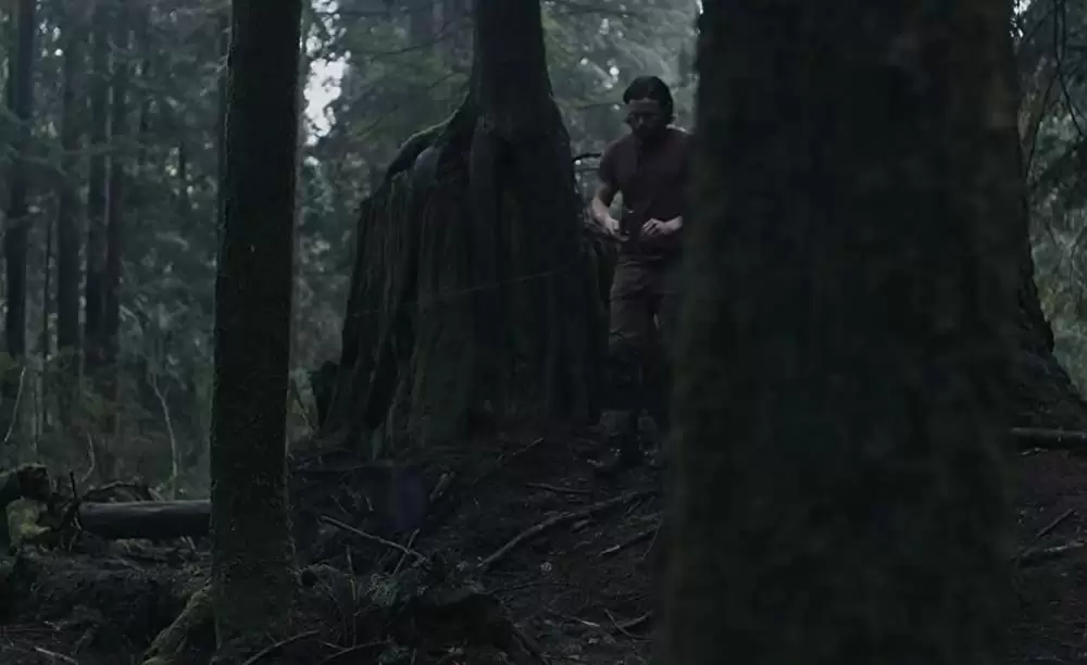 ライト・オブ・マイ・ライフの画像