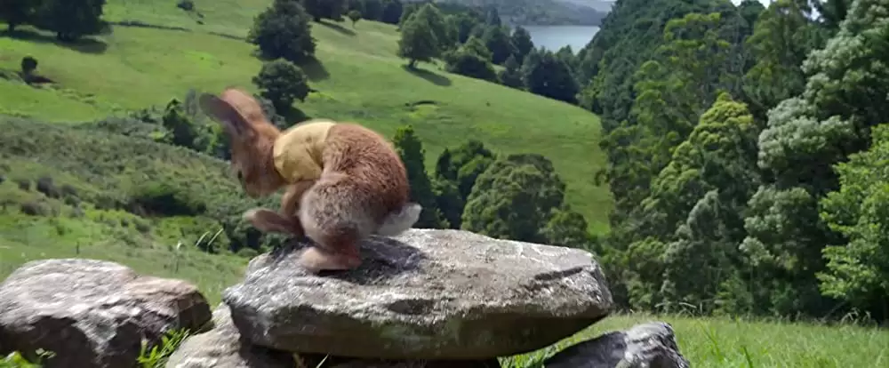 ピーターラビット２／バーナバスの誘惑の画像