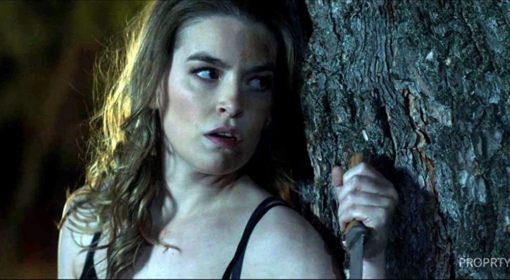 リベンジ・タイムの画像