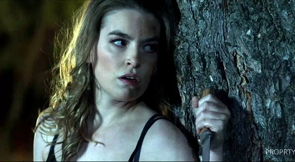 リベンジ・タイムの画像