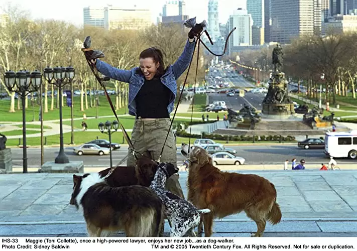 イン・ハー・シューズの画像