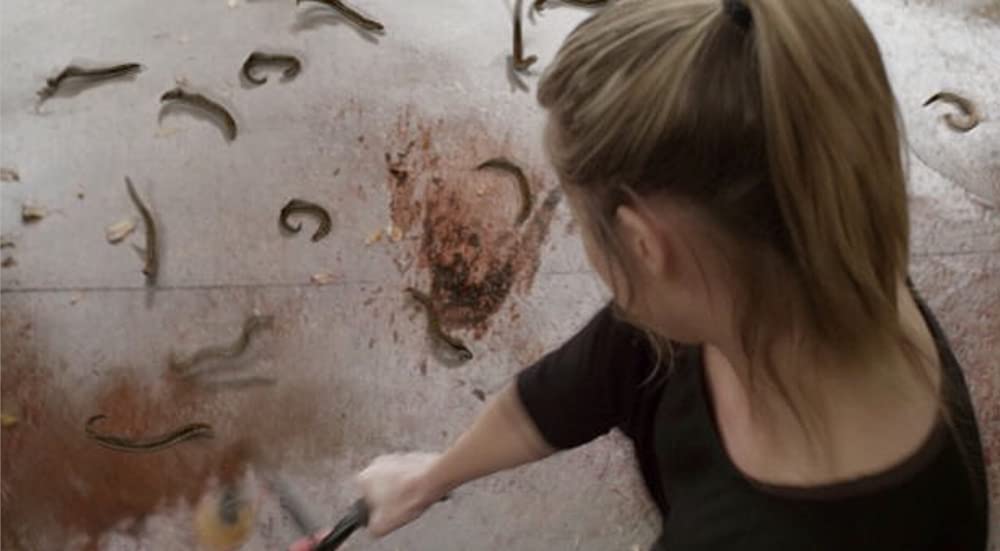 アクア・クリーチャーズの画像