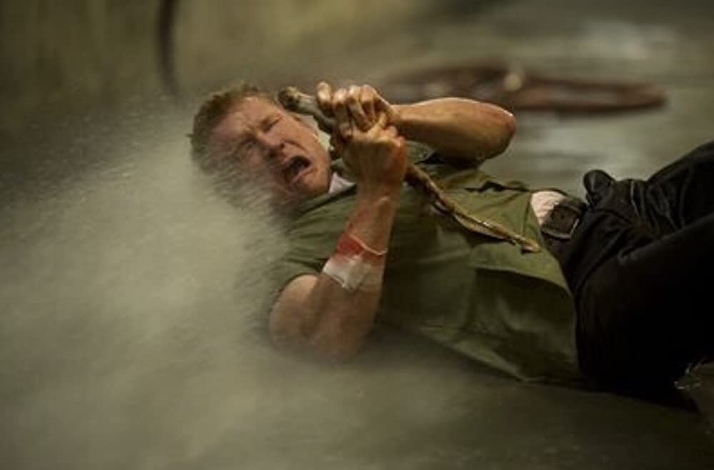 アクア・クリーチャーズの画像