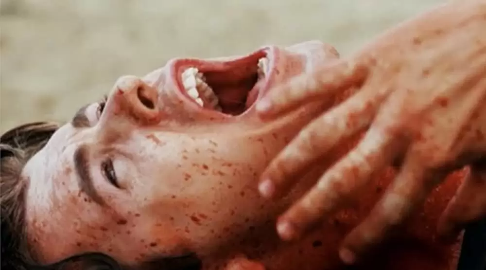 アクア・クリーチャーズの画像