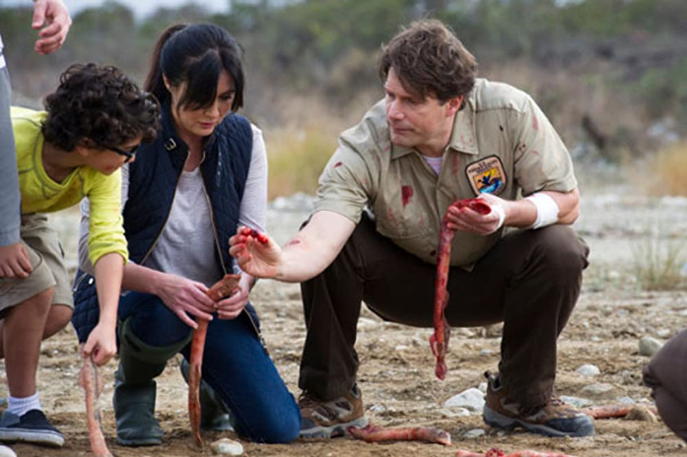 アクア・クリーチャーズの画像