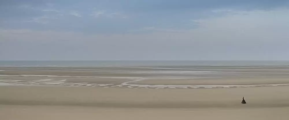 エレン・ターナン ～ディケンズに愛された女～の画像