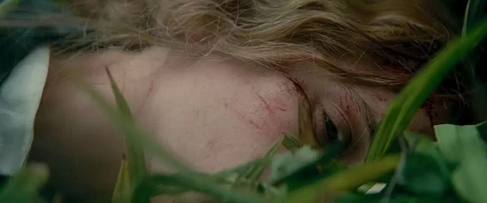 エレン・ターナン ～ディケンズに愛された女～の画像