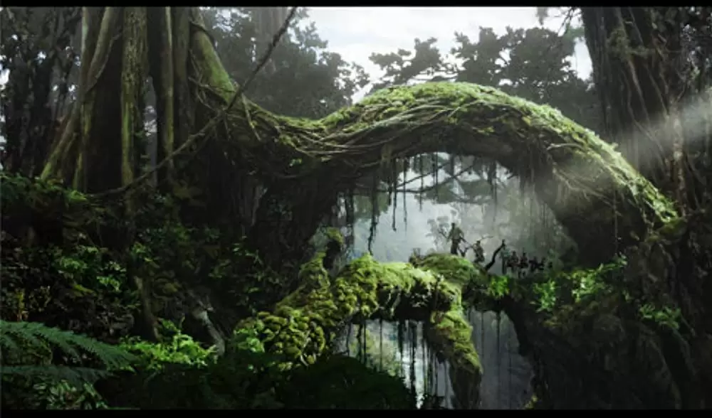 キング・コングの画像