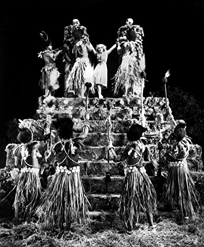 キング・コングの画像