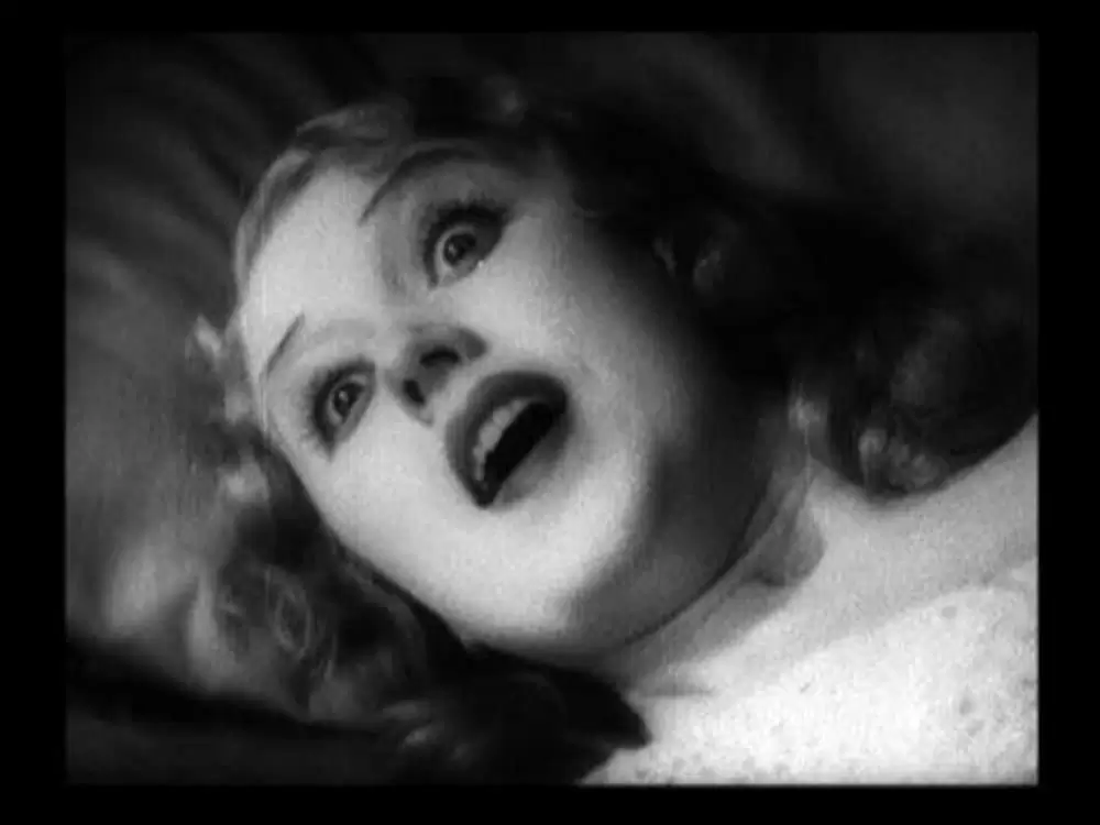 キング・コングの画像