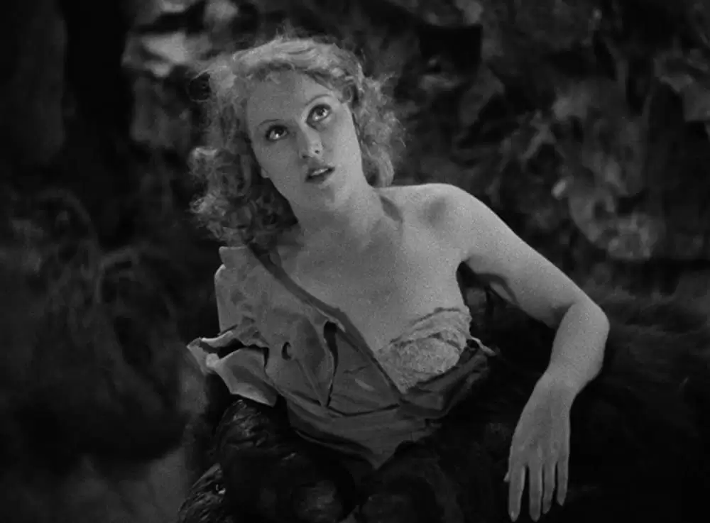 キング・コングの画像